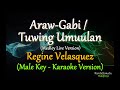 Araw Gabi | Tuwing Umuulan (Medley - MALE KEY ) - by Regine Velasquez (Karaoke Version)