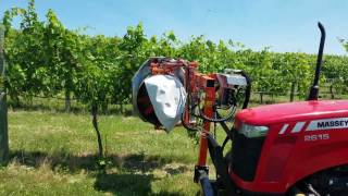 Leaf thinning at Millner Heritage Winery screenshot 4