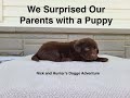 We Surprised Our Parents with a Puppy!