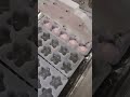 BOINES 5-Head Automatic Pastry Filling Machine #filling #fillingmachine