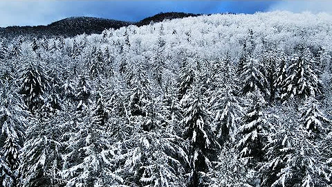 Life Itself Documentary - 2023 Chaga Retreat