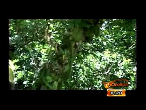 Seccion Nuestra BIOSFERA: Laguna Miramar