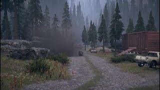 Suicide Bear