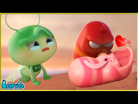 Larva Tuba - TÌNH TAN VỠ - ẤU TRÙNG TINH NGHỊCH - PHIM HOẠT HÌNH LARVA MỚI HAY NHẤT 2022
