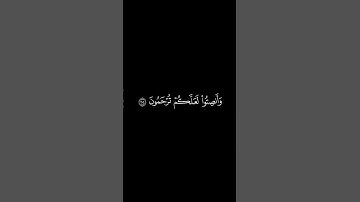 سورة الاعراف _ الاية 204 _ تلاوة رائعة _ ❤️🙏📖