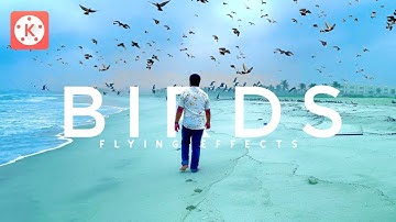 Realistic birds flying effect in Kinemaster || VFX Kinemaster