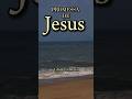 Promessa de Jesus!! #bomdia #fe #deustemumapalavrapravoce #deusnuncafalha