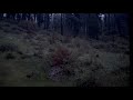 Turkey hunting in southwest Oregon Episode 1/realty of hunting in Oregon 