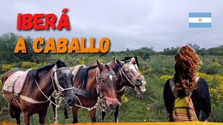 Este SENDERO nos sorprendió 😛 CABALLOS automáticos |Musica Rodante by Musica rodante - Profes Viajeros  91 views 6 months ago 13 minutes, 28 seconds