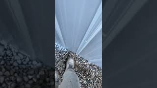 Paint Hack Tiktok tulipcitypainter