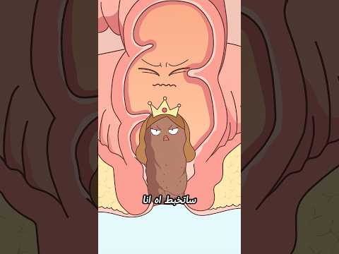 2    ل م اذ ا ت ك ب ر ال ب اب ة الت ح ت ي ة ب ك ل ي و م