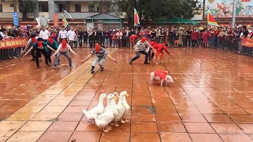 Who Will Catch the Most? Blindfolded Pig & Duck Frenzy – Vietnamese Folk Fun! | Vietnam Walk 4K