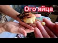 ОГРОМНЫЕ ЯЙЦА СНЕСЛА УЛИТКА😱А ВТОРАЯ ДАЛА НЕОЖИДАННЫЙ ПРИРОСТ!🤗