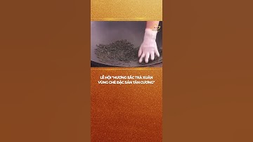 Thái Nguyên: Lan tỏa “Hương sắc trà Xuân - vùng chè đặc sản Tân Cương” #shorts