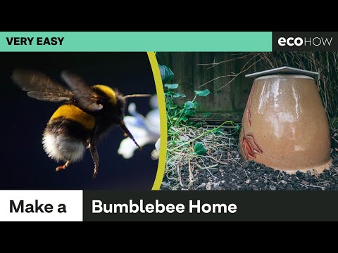 Video: Bumblebee Shelter - How To Make A Bumblebee Nest For The Garden