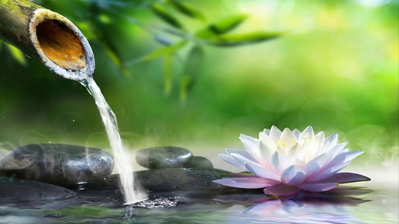 Bamboo water fountain healing music BGM 自然の音とともに音楽をリラックス バンブーウォーター