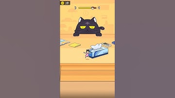 Hide & Seek Cat Escape - Level 3