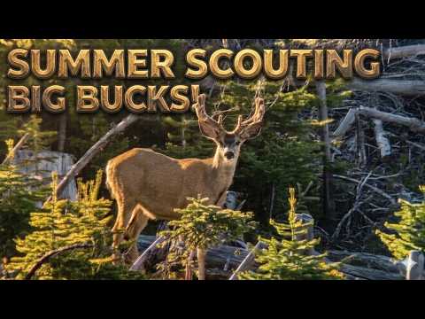 Video thumbnail for Summer Scouting Big Bucks + Awesome Trail Cam Footage!