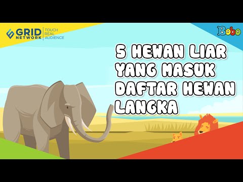 5 Hewan Liar yang Masuk Daftar Hewan Langka - Fakta Menarik