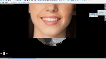 BSP:V4.11 Importing 2D Photo