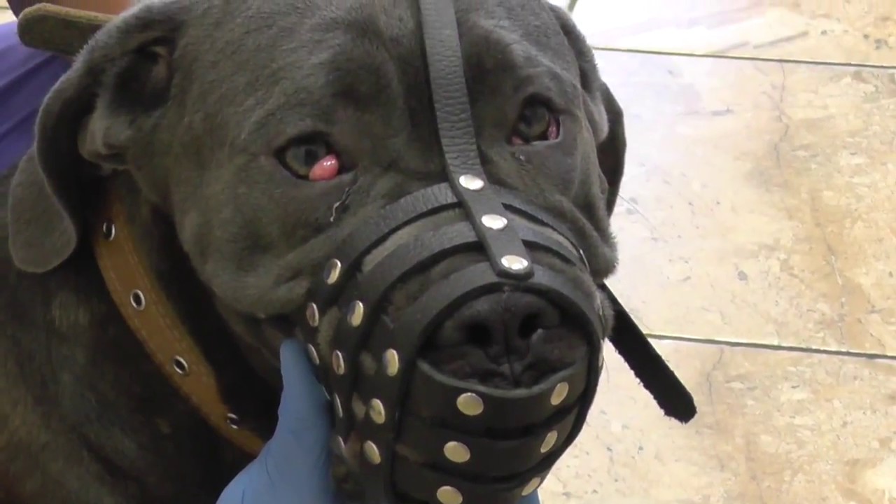 Эти глаза напротив - YouTube