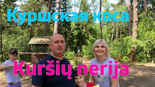 :     (Kursiu nerija)