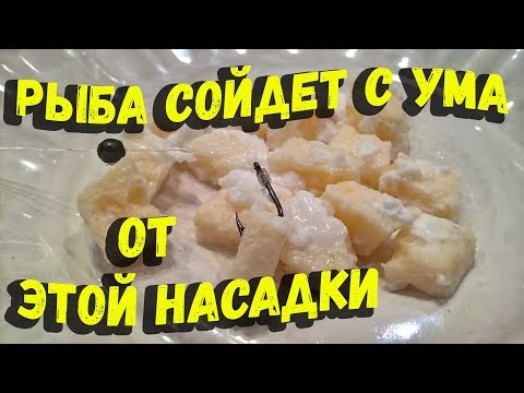 Насадка для ловли