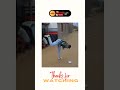 Maphorisa Tsonga Dance song Video Meme | Xilala