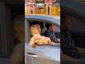Happy millionaire lady enjoying Monaco with puppy #billionaire #luxury #lifestyle #trending #fyp