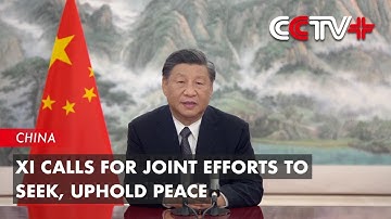 Xi Calls for Joint Efforts to Seek, Uphold Peace When Addressing BRICS Business Forum