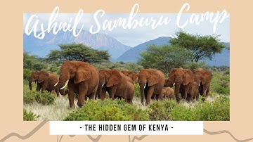 Ashnil Samburu Camp (official video 2021)