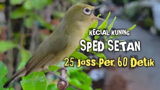 KECIAL KUNING SPED SETAN || 25 JOSS PER 60 DETIK
