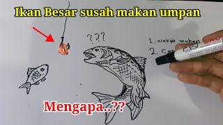 5 Penyebab ikan besar susah makan umpan di alam liar. screenshot 2