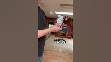 Day 58 of doing magic every day til it’s my job