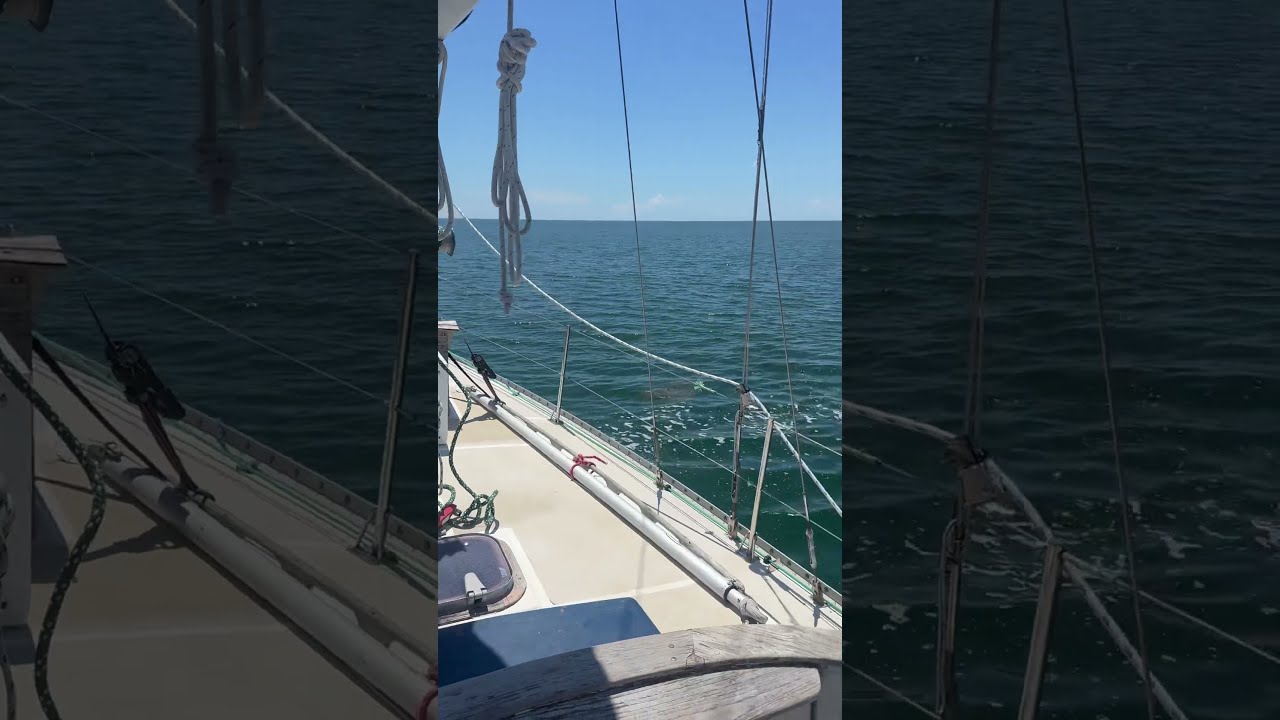Sail Away 8 16 25