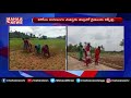 Viral: Daughters plough field to help dad on farming