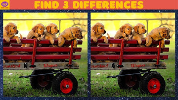 【Find the Difference】 Brain Puzzle Game - Part 140