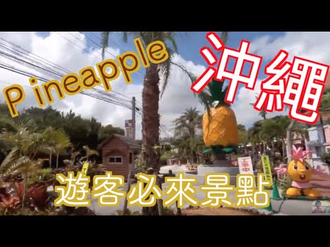 沖繩超美鳳梨園，推薦您必來的景點@阿布吉旅遊生活頻道｜沖繩自由行｜自助旅行