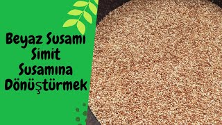 Beyaz Susami Si̇mi̇t Susama Nasil Dönüştürülür