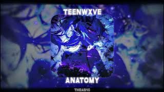 Download lagu TEENWXVE - Anatomy