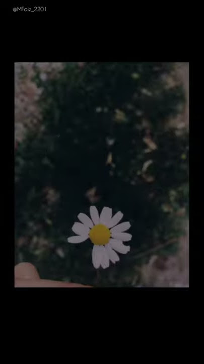 Story WA 30Detik. R.O.D Gdragon