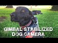 Gimbal Stabilized Camera Dog Mount (Drake Mount)