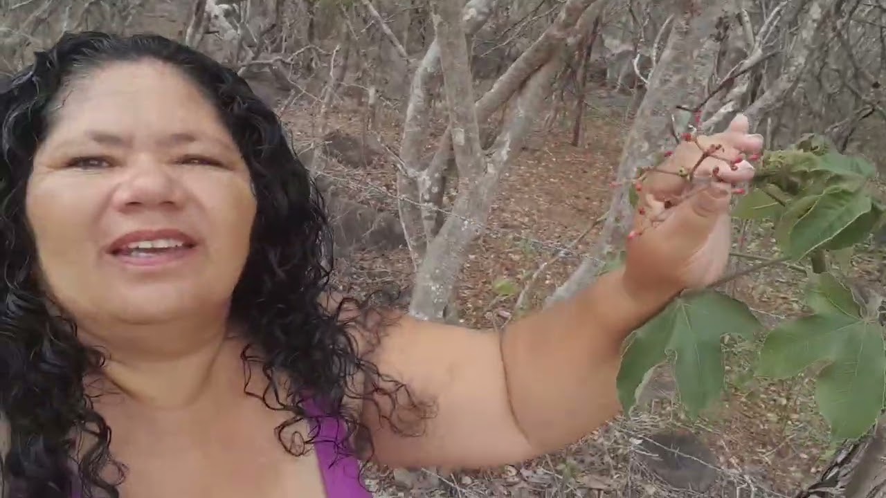 passando  um  pouco na  catinga