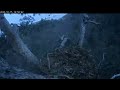 15.10.2025 Камычи. Наконец-то у Камычей на камеру попала длиннохвостая неясыть!