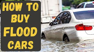 Should I Buy a Flooded Car? Are Water Damaged Cars Good? Buying a Salvage Car at IAA and Copart