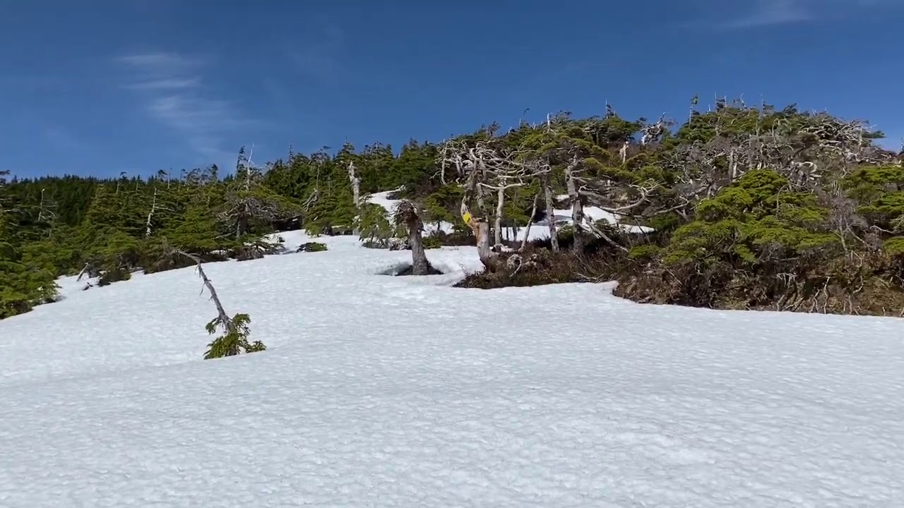 Minerva Mountain Trail / The Carlanna ~ Perseverance Lake Traverse Hike- Ketchikan, Alaska May 2020
