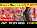 How&#39;s 5 Months Baby In Womb - Developments, Growth, Length, Weight and Activities Baby Does In Womb