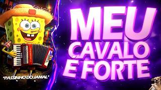 PASSINHO CRINА NЕGRА 🐴 - Meu cаvаlо é forte - Festa Junina - (BREGA FUNK) by DJ Dart