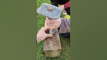 Cracking open Dactylioceras #ammonite #fossil nodules with the kids. #whitby #fossilhunter #shorts