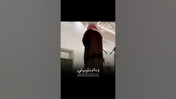 أجمل مقطع للشيخ ناصر القطامي علي الإطلاق ❤️ تلاوة هادئة